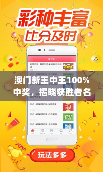 澳门王中王100%期期中,真实数据解释定义_轻量版1.22.856